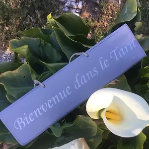 Le Brensol Hébergement de vacances Brens (Tarn)